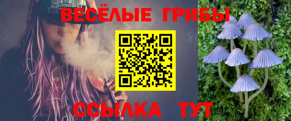 Псилоцибиновые грибы Cubensis  Вход с VPN  Белореченск  Галлюциногенные грибы Magic Shrooms 