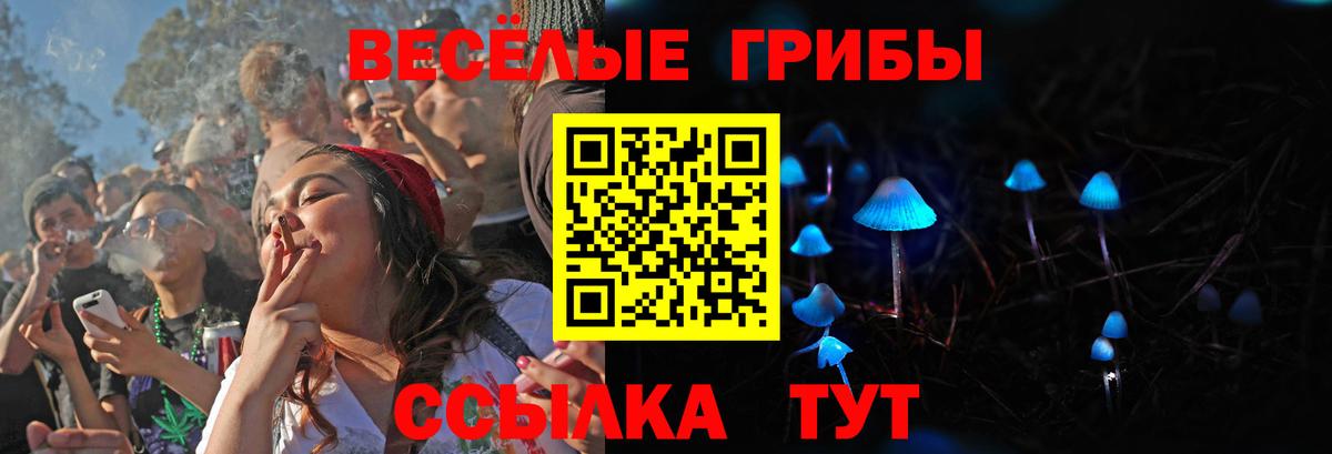 Псилоцибиновые грибы прущие грибы Белореченск